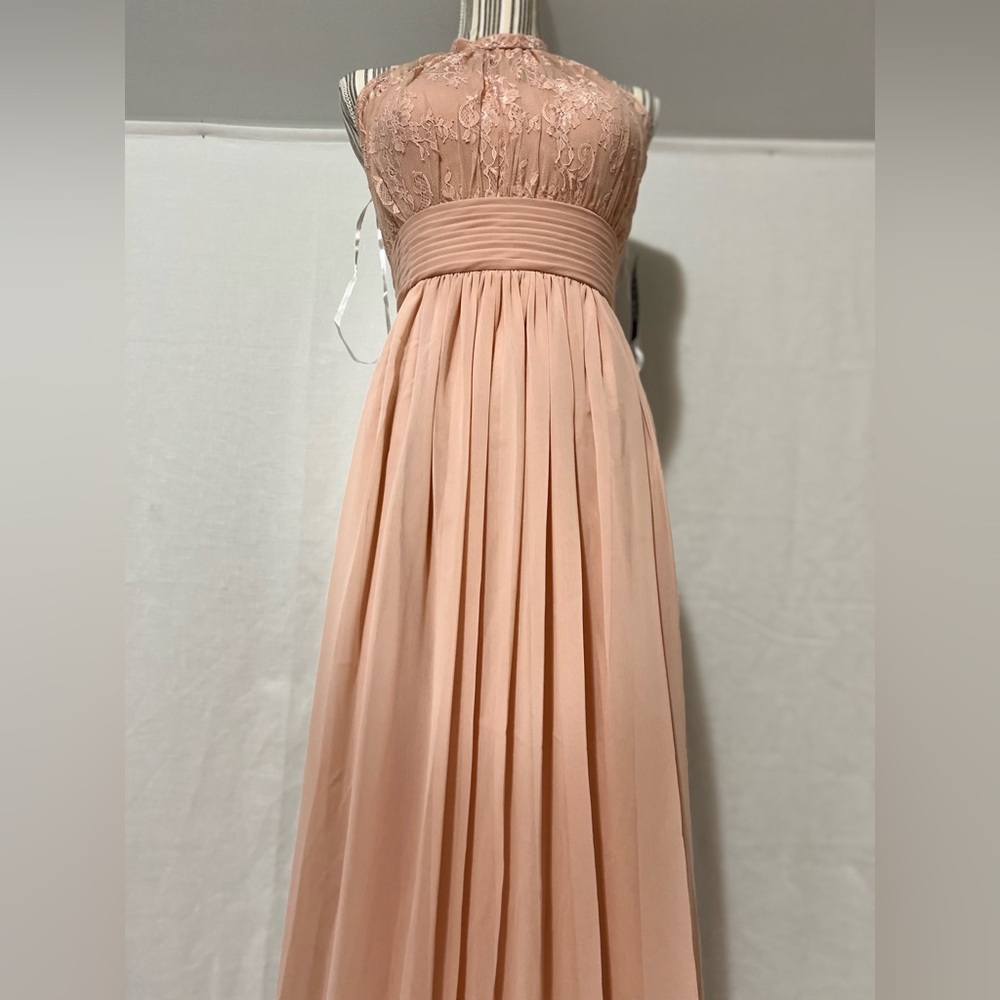 Sonsiya Blush Pink Lace Chiffon Maxi Dress Size 12 Formal Gown NWT - Picture 4 of 12